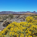 Klicken für mehr Infos: Tour zum Teide / Teneriffa