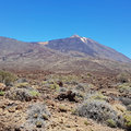 Teneriffa_Teide_2019_06-62