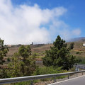Teneriffa_Teide_2019_06-81