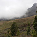 Teneriffa_Teide_2019_06-85