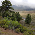 Teneriffa_Teide_2019_06-86
